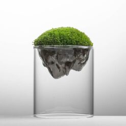 мох, декор, мосаріум, декор, мінімалізм