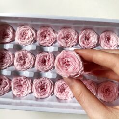 стабілізовані квіти, рослини, декор, букети, сухоцвіти