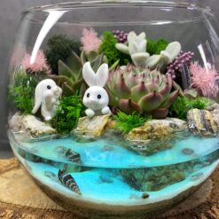 флораріум, мосаріум, подарунок, декор, квіти у вазі, квіти, сукуленти, подарунок коханим, 8 березня, 14 лютого