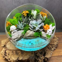 флораріум, мосаріум, подарунок, декор, квіти у вазі, квіти, сукуленти, подарунок коханим, 8 березня, 14 лютого