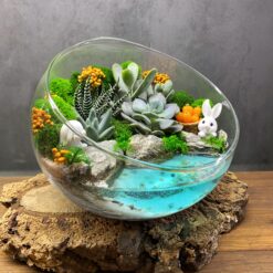 флораріум, мосаріум, подарунок, декор, квіти у вазі, квіти, сукуленти, подарунок коханим, 8 березня, 14 лютого