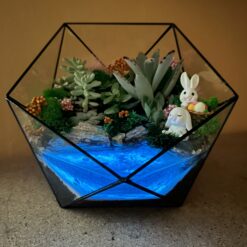 флораріум, мосаріум, подарунок, декор, квіти у вазі, квіти, сукуленти, подарунок коханим, 8 березня, 14 лютого