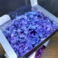 стабілізована гортензія, сухоцвіти, квіти для свічок, декор, квіти для букетів, гортензія