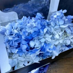 стабілізована гортензія, сухоцвіти, квіти для свічок, декор, квіти для букетів, гортензія