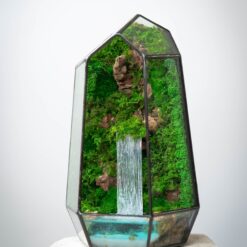 флораріум з мохом та імітацією водойми