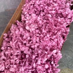 стабилизированая гортензия, сухоцветы, гортензия, декор, цветы для свечей