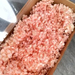 стабілізована гортензія, сухоцвіти, квіти для свічок, декор, квіти для букетів, гортензія