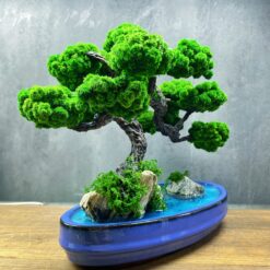 моссариум, флорарум, декор, стабализированые растения, подарок, стабализированое дерево, Япония, подарок в стиле Япония, японский сад