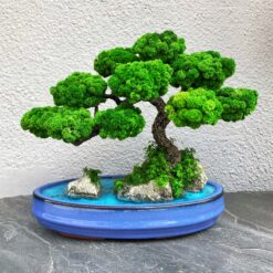 моссариум, флорарум, декор, стабализированые растения, подарок, стабализированое дерево, Япония, подарок в стиле Япония, японский сад