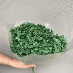 стабілізована гортензія рожева, стабілізована гортензія фіолетова, декоративна гортензія, квіти для декору, рожева гортензія, стабілізовані квіти, стабілізована гортензія 10 грам, квіти для квіткових композицій, квіти для прикрашання, рожева декоративна гортензія, квіти для інтер'єру, сухоцвіти для декору, рожева гортензія стабілізована, квіткові композиції з гортензії, стабілізована флористика, декор для свічок, гортензія для букетів, декор для весілля