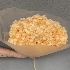 стабілізована гортензія рожева, стабілізована гортензія фіолетова, декоративна гортензія, квіти для декору, рожева гортензія, стабілізовані квіти, стабілізована гортензія 10 грам, квіти для квіткових композицій, квіти для прикрашання, рожева декоративна гортензія, квіти для інтер'єру, сухоцвіти для декору, рожева гортензія стабілізована, квіткові композиції з гортензії, стабілізована флористика, декор для свічок, гортензія для букетів, декор для весілля