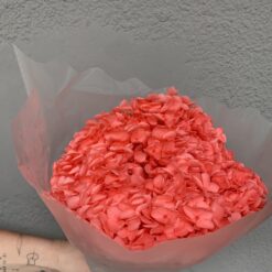 стабілізована гортензія рожева, стабілізована гортензія фіолетова, декоративна гортензія, квіти для декору, рожева гортензія, стабілізовані квіти, стабілізована гортензія 10 грам, квіти для квіткових композицій, квіти для прикрашання, рожева декоративна гортензія, квіти для інтер'єру, сухоцвіти для декору, рожева гортензія стабілізована, квіткові композиції з гортензії, стабілізована флористика, декор для свічок, гортензія для букетів, декор для весілля