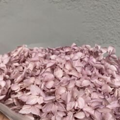 стабілізована гортензія рожева, стабілізована гортензія фіолетова, декоративна гортензія, квіти для декору, рожева гортензія, стабілізовані квіти, стабілізована гортензія 10 грам, квіти для квіткових композицій, квіти для прикрашання, рожева декоративна гортензія, квіти для інтер'єру, сухоцвіти для декору, рожева гортензія стабілізована, квіткові композиції з гортензії, стабілізована флористика, декор для свічок, гортензія для букетів, декор для весілля