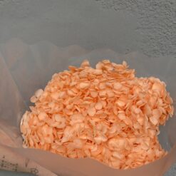 стабілізована гортензія рожева, стабілізована гортензія фіолетова, декоративна гортензія, квіти для декору, рожева гортензія, стабілізовані квіти, стабілізована гортензія 10 грам, квіти для квіткових композицій, квіти для прикрашання, рожева декоративна гортензія, квіти для інтер'єру, сухоцвіти для декору, рожева гортензія стабілізована, квіткові композиції з гортензії, стабілізована флористика, декор для свічок, гортензія для букетів, декор для весілля