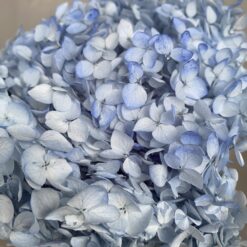 стабілізована гортензія рожева, стабілізована гортензія фіолетова, декоративна гортензія, квіти для декору, рожева гортензія, стабілізовані квіти, стабілізована гортензія 10 грам, квіти для квіткових композицій, квіти для прикрашання, рожева декоративна гортензія, квіти для інтер'єру, сухоцвіти для декору, рожева гортензія стабілізована, квіткові композиції з гортензії, стабілізована флористика, декор для свічок, гортензія для букетів, декор для весілля