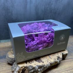 стабілізована гортензія рожева, стабілізована гортензія фіолетова, декоративна гортензія, квіти для декору, рожева гортензія, стабілізовані квіти, стабілізована гортензія 10 грам, квіти для квіткових композицій, квіти для прикрашання, рожева декоративна гортензія, квіти для інтер'єру, сухоцвіти для декору, рожева гортензія стабілізована, квіткові композиції з гортензії, стабілізована