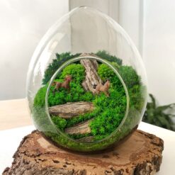 моссариум с мхом и камнями, моссариум в форме яйца, моссариум 20х13 см, стабилизированный мох, фигурки лошадей, светлые лошади моссариум, тёмные лошади моссариум, моссариум с фигурками семьи, моссариум для интерьера, моссариум для дома, моссариум для офиса, декор моссариум, моссариум без ухода, стеклянное яйцо с мхом, моссариум с камнями, моссариум с лошадьми, композиция с мхом, моссариум размер 20х13 см, стабилизированный мох в стеклянном яйце, мох и камни в моссариуме,мосаріум з мохом і камінням, мосаріум у формі яйця, мосаріум 20х13 см, стабілізований мох, фігурки коней, світлі коні мосаріум, темні коні мосаріум, мосаріум з фігурками сім'ї, мосаріум для інтер'єру, мосаріум для дому, мосаріум для офісу, декор мосаріум, мосаріум без догляду, скляне яйце з мохом, мосаріум з камінням, мосаріум з кіньми, композиція з мохом, мосаріум розмір 20х13 см, стабілізований мох у скляному яйці, мох і каміння в мосаріумі