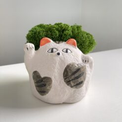 кашпо котик з мохом, горщик котик для квітів, керамічне кашпо кіт, декоративний горщик з мохом, оригінальний кашпо, стабілізований мох у горщику, кашпо кіт з вушками, горщик для сукулентів, кашпо зі стабілізованими рослинами, кашпо для квітів, горщик для рослин оригінальний, декоративний керамічний кашпо, кашпо кіт з мохом, горщик кіт з мохом, декоративний горщик кіт,кашпо котик с мхом, горшок котик для цветов, керамическое кашпо кот, декоративный горшок с мхом, оригинальный кашпо, стабилизированный мох в горшке, кашпо кот с ушками, горшок для суккулентов, кашпо со стабилизированными растениями, кашпо для цветов, горшок для растений оригинальный, декоративное керамическое кашпо, кашпо кот с мхом, горшок кот с мхом, декоративный горшок кот