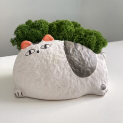 кашпо котик з мохом, горщик котик для квітів, керамічне кашпо кіт, декоративний горщик з мохом, оригінальні кашпо, стабілізований мох у горщику, кашпо кіт з вушками, горщик для сукулентів, кашпо зі стабілізованими рослинами, кашпо тварини, горщик для рослин оригінальний, декоративні керамічні кашпо, кашпо товстий кіт з мхом premium, кашпо товстий кіт з мхом преміум,кашпо котик с мхом, горшок котик для цветов, керамическое кашпо кот, декоративный горшок с мхом, оригинальные кашпо, стабилизированный мох в горшке, кашпо кот с ушками, горшок для суккулентов, кашпо с стабилизированными растениями, кашпо животные, горшок для растений оригинальный, декоративные керамические кашпо, кашпо толстый кот с мхом premium, кашпо толстый кот с премиум мхом