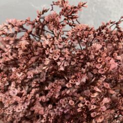 стабілізована статиця, кораловий статиця, стабілізована статиця, декор стабілізованими квітами, букет статиці, кораловий стабілізована статиця, стабілізовані квіти для декору, стабілізована флористика, стабілізовані рослини, статиця для декору, стабілізована статиця купити, букет кермек, стабілізовані квіти коралові, кораловий статиця для декору, стабілізовані квіти купити, стабілізований букет, стабілізована флора, стабілізовані квіти для інтер'єру, стабилизированная статица, коралловый статица, стабилизированная статица, декор стабилизированными цветами, букет статицы, коралловый стабилизированная статица, стабилизированные цветы для декора, стабилизированная флористика, стабилизированные растения, статица для декора, стабилизированная статица купить, букет кермек, стабилизированные цветы коралловые, коралловый статица для декора, стабилизированные цветы купить, стабилизированный букет, стабилизированная флора, стабилизированные цветы для интерьера