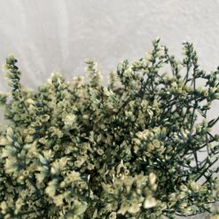 стабілізована статиця, зелена статиця, стабілізована статиця, декор стабілізованими квітами, букет статиці, зелена стабілізована статиця, стабілізовані квіти для декору, стабілізована флористика, стабілізовані рослини, статиця для декору, стабілізована статиця купити, букет кермек, стабілізовані квіти зелені, зелена статиця для декору, стабілізовані квіти купити, стабілізований букет, стабілізована флора, стабілізовані квіти для інтер'єру, стабилизированная статица, зеленая статица, стабилизированная статица, декор стабилизированными цветами, букет статицы, зеленая стабилизированная статица, стабилизированные цветы для декора, стабилизированная флористика, стабилизированные растения, статица для декора, стабилизированная статица купить, букет кермек, стабилизированные цветы зеленые, зеленая статица для декора, стабилизированные цветы купить, стабилизированный букет, стабилизированная флора, стабилизированные цветы для интерьера