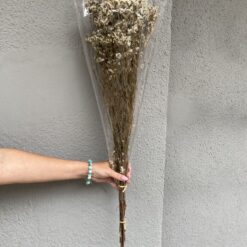 стабілізована статиця, кремова статиця, стабілізована статиця, декор стабілізованими квітами, букет статиці, кремова стабілізована статиця, стабілізовані квіти для декору, стабілізована флористика, стабілізовані рослини, статиця для декору, стабілізована статиця купити, букет кермек, стабілізовані квіти кремові, кремова статиця для декору, стабілізовані квіти купити, стабілізований букет, стабілізована флора, стабілізовані квіти для інтер'єру, стабилизированная статица, кремовая статица, стабилизированная статица, декор стабилизированными цветами, букет статицы, кремовая стабилизированная статица, стабилизированные цветы для декора, стабилизированная флористика, стабилизированные растения, статица для декора, стабилизированная статица купить, букет кермек, стабилизированные цветы кремовые, кремовая статица для декора, стабилизированные цветы купить, стабилизированный букет, стабилизированная флора, стабилизированные цветы для интерьера