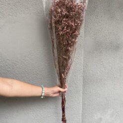 стабілізована статиця, кораловий статиця, стабілізована статиця, декор стабілізованими квітами, букет статиці, кораловий стабілізована статиця, стабілізовані квіти для декору, стабілізована флористика, стабілізовані рослини, статиця для декору, стабілізована статиця купити, букет кермек, стабілізовані квіти коралові, кораловий статиця для декору, стабілізовані квіти купити, стабілізований букет, стабілізована флора, стабілізовані квіти для інтер'єру, стабилизированная статица, коралловый статица, стабилизированная статица, декор стабилизированными цветами, букет статицы, коралловый стабилизированная статица, стабилизированные цветы для декора, стабилизированная флористика, стабилизированные растения, статица для декора, стабилизированная статица купить, букет кермек, стабилизированные цветы коралловые, коралловый статица для декора, стабилизированные цветы купить, стабилизированный букет, стабилизированная флора, стабилизированные цветы для интерьера