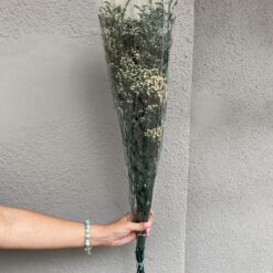 стабілізована статиця, зелена статиця, стабілізована статиця, декор стабілізованими квітами, букет статиці, зелена стабілізована статиця, стабілізовані квіти для декору, стабілізована флористика, стабілізовані рослини, статиця для декору, стабілізована статиця купити, букет кермек, стабілізовані квіти зелені, зелена статиця для декору, стабілізовані квіти купити, стабілізований букет, стабілізована флора, стабілізовані квіти для інтер'єру, стабилизированная статица, зеленая статица, стабилизированная статица, декор стабилизированными цветами, букет статицы, зеленая стабилизированная статица, стабилизированные цветы для декора, стабилизированная флористика, стабилизированные растения, статица для декора, стабилизированная статица купить, букет кермек, стабилизированные цветы зеленые, зеленая статица для декора, стабилизированные цветы купить, стабилизированный букет, стабилизированная флора, стабилизированные цветы для интерьера