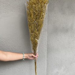 Стабілізований Лимоніум