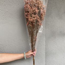 стабілізована статиця, рожева статиця, стабілізована статиця, декор стабілізованими квітами, букет статиці, рожева стабілізована статиця, стабілізовані квіти для декору, стабілізована флористика, стабілізовані рослини, статиця для декору, стабілізована статиця купити, букет кермек, стабілізовані квіти рожеві, рожева статиця для декору, стабілізовані квіти купити, стабілізований букет, стабілізована флора, стабілізовані квіти для інтер'єру, стабилизированная статица, розовая статица, стабилизированная статица, декор стабилизированными цветами, букет статицы, розовая стабилизированная статица, стабилизированные цветы для декора, стабилизированная флористика, стабилизированные растения, статица для декора, стабилизированная статица купить, букет кермек, стабилизированные цветы розовые, розовая статица для декора, стабилизированные цветы купить, стабилизированный букет, стабилизированная флора, стабилизированные цветы для интерьера