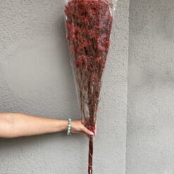 стабілізована статиця, червона статиця, стабілізована статиця, декор стабілізованими квітами, букет статиці, червона стабілізована статиця, стабілізовані квіти для декору, стабілізована флористика, стабілізовані рослини, статиця для декору, стабілізована статиця купити, букет кермек, стабілізовані квіти червоні, червона статиця для декору, стабілізовані квіти купити, стабілізований букет, стабілізована флора, стабілізовані квіти для інтер'єру, стабилизированная статица, красная статица, стабилизированная статица, декор стабилизированными цветами, букет статицы, красная стабилизированная статица, стабилизированные цветы для декора, стабилизированная флористика, стабилизированные растения, статица для декора, стабилизированная статица купить, букет кермек, стабилизированные цветы красные, красная статица для декора, стабилизированные цветы купить, стабилизированный букет, стабилизированная флора, стабилизированные цветы для интерьера