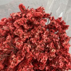 стабілізована статиця, червона статиця, стабілізована статиця, декор стабілізованими квітами, букет статиці, червона стабілізована статиця, стабілізовані квіти для декору, стабілізована флористика, стабілізовані рослини, статиця для декору, стабілізована статиця купити, букет кермек, стабілізовані квіти червоні, червона статиця для декору, стабілізовані квіти купити, стабілізований букет, стабілізована флора, стабілізовані квіти для інтер'єру, стабилизированная статица, красная статица, стабилизированная статица, декор стабилизированными цветами, букет статицы, красная стабилизированная статица, стабилизированные цветы для декора, стабилизированная флористика, стабилизированные растения, статица для декора, стабилизированная статица купить, букет кермек, стабилизированные цветы красные, красная статица для декора, стабилизированные цветы купить, стабилизированный букет, стабилизированная флора, стабилизированные цветы для интерьера