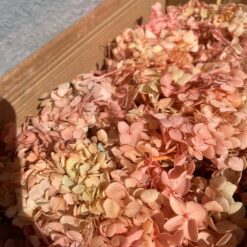 стабілізована гортензія рожева, стабілізована гортензія фіолетова, декоративна гортензія, квіти для декору, рожева гортензія, стабілізовані квіти, стабілізована гортензія 10 грам, квіти для квіткових композицій, квіти для прикрашання, рожева декоративна гортензія, квіти для інтер'єру, сухоцвіти для декору, рожева гортензія стабілізована, квіткові композиції з гортензії, стабілізована