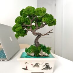 мосаріум, велика композиція, стабілізовані рослини, рослини у склі, унікальний подарунок, 8 березня, день народження, уникальный подарок, моссариум, флорариум, цветы в вазе, цветы в стекле