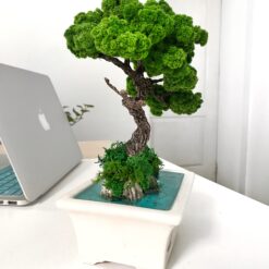 мосаріум, велика композиція, стабілізовані рослини, рослини у склі, унікальний подарунок, 8 березня, день народження, уникальный подарок, моссариум, флорариум, цветы в вазе, цветы в стекле