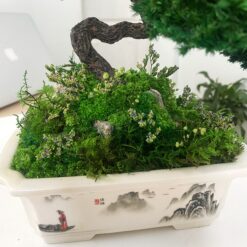 мосаріум, велика композиція, стабілізовані рослини, рослини у склі, унікальний подарунок, 8 березня, день народження, уникальный подарок, моссариум, флорариум, цветы в вазе, цветы в стекле