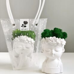 Кашпо Дівчина з мохом та подарунковим пакетом