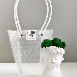 Кашпо Дівчина з мохом та подарунковим пакетом