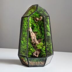 Мосаріум флораріум мінімалізм з мохом