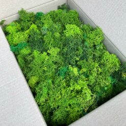 стабілізований мох преміум, залишки моху для декору, стабілізований мох для флораріумів, мікс зелених відтінків моху, мох для оформлення інтер'єру, залишки стабілізованого моху для поробок, екологічний мох без шапочок, матеріал для флористики, стабілізований мох для дитячих проєктів, натуральний мох для декору, стабілізований мох для стін, стабілізований мох для подарункових коробок, стабилизированный мох премиум, остатки мха для декора, стабилизированный мох для флорариумов, микс зеленых оттенков мха, мох для оформления интерьера, остатки стабилизированного мха для поделок, экологичный мох без шапочек, материал для флористики, стабилизированный мох для детских проектов, натуральный мох для декора, стабилизированный мох для стен, стабилизированный мох для подарочных коробок