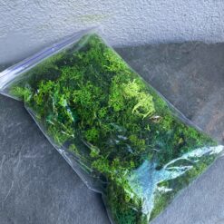 стабілізований мох преміум, залишки моху для декору, стабілізований мох для флораріумів, мікс зелених відтінків моху, мох для оформлення інтер'єру, залишки стабілізованого моху для поробок, екологічний мох без шапочок, матеріал для флористики, стабілізований мох для дитячих проєктів, натуральний мох для декору, стабілізований мох для стін, стабілізований мох для подарункових коробок, стабилизированный мох премиум, остатки мха для декора, стабилизированный мох для флорариумов, микс зеленых оттенков мха, мох для оформления интерьера, остатки стабилизированного мха для поделок, экологичный мох без шапочек, материал для флористики, стабилизированный мох для детских проектов, натуральный мох для декора, стабилизированный мох для стен, стабилизированный мох для подарочных коробок