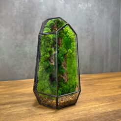 Мосаріум Мінімалізм зі стабілізованим мохом