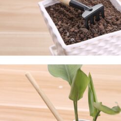 инструменты для ухода за суккулентами, набор для ухода за растениями, садовые инструменты для комнатных растений, инструменты для пересадки суккулентов, мини лопатка для суккулентов, набор инструментов для растений, деревянные инструменты для растений, инструменты для пересадки растений, набор инструментов для ухода за цветами, набор садовых инструментов для растений, інструменти для догляду за сукулентами, набір для догляду за рослинами, садові інструменти для кімнатних рослин, інструменти для пересадки сукулентів, міні лопатка для сукулентів, набір інструментів для рослин, дерев'яні інструменти для рослин, інструменти для пересадки рослин, набір інструментів для догляду за квітами, набір садових інструментів для рослин