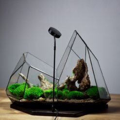 флорариум с подсветкой лесное сияние, декоративный флорариум для интерьера, флорариум стеклянный с мхом и лампой, флорариум для офиса, оригинальный подарок флорариум, композиция с натуральными элементами и светом, флорариум лесное сияние 40х48х29, миниатюрный лес в стекле,

флораріум із підсвіткою лісове сяйво, декоративний флораріум для інтер’єру, флораріум скляний із мохом та лампою, флораріум для офісу, оригінальний подарунок флораріум, композиція з натуральними елементами та світлом, флораріум лісове сяйво 40х48х29, мініатюрний ліс у склі