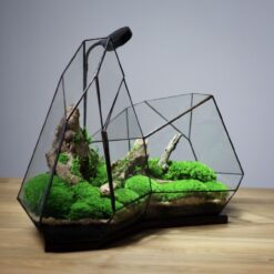 флорариум с подсветкой лесное сияние, декоративный флорариум для интерьера, флорариум стеклянный с мхом и лампой, флорариум для офиса, оригинальный подарок флорариум, композиция с натуральными элементами и светом, флорариум лесное сияние 40х48х29, миниатюрный лес в стекле,

флораріум із підсвіткою лісове сяйво, декоративний флораріум для інтер’єру, флораріум скляний із мохом та лампою, флораріум для офісу, оригінальний подарунок флораріум, композиція з натуральними елементами та світлом, флораріум лісове сяйво 40х48х29, мініатюрний ліс у склі