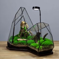 флорариум с подсветкой лесное сияние, декоративный флорариум для интерьера, флорариум стеклянный с мхом и лампой, флорариум для офиса, оригинальный подарок флорариум, композиция с натуральными элементами и светом, флорариум лесное сияние 40х48х29, миниатюрный лес в стекле,

флораріум із підсвіткою лісове сяйво, декоративний флораріум для інтер’єру, флораріум скляний із мохом та лампою, флораріум для офісу, оригінальний подарунок флораріум, композиція з натуральними елементами та світлом, флораріум лісове сяйво 40х48х29, мініатюрний ліс у склі