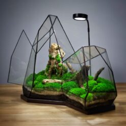 флорариум с подсветкой лесное сияние, декоративный флорариум для интерьера, флорариум стеклянный с мхом и лампой, флорариум для офиса, оригинальный подарок флорариум, композиция с натуральными элементами и светом, флорариум лесное сияние 40х48х29, миниатюрный лес в стекле,

флораріум із підсвіткою лісове сяйво, декоративний флораріум для інтер’єру, флораріум скляний із мохом та лампою, флораріум для офісу, оригінальний подарунок флораріум, композиція з натуральними елементами та світлом, флораріум лісове сяйво 40х48х29, мініатюрний ліс у склі