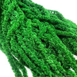 амарант стабилизированный изумрудный, стабилизированный амарант для декора, амарант изумрудный 110 см, стабилизированный амарант для букетов, флористический амарант изумрудный, амарант для украшения интерьера, стабилизированные растения амарант, амарант пучок 5-7 веток, амарант декор композиция, амарант для длительного хранения, стабилизированный амарант для подарка, амарант изумрудный флористика,
амарант стабілізований смарагдовий, стабілізований амарант для декору, амарант смарагдовий 110 см, стабілізований амарант для букетів, флористичний амарант смарагдовий, амарант для прикраси інтер'єру, стабілізовані рослини амарант, амарант пучок 5-7 гілок, амарант декор композиція, амарант для тривалого зберігання, стабілізований амарант для подарунка, амарант смарагдовий флористика