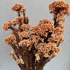 сухоцвет озатамнус бежевый, стабилизированный озатамнус для декора, букет озатамнус бежевого цвета, рисовые цветы сухоцветы, декор из рисовых цветов, озатамнус стабилизированный букет, сухоцветы для украшения интерьера, озатамнус для букета, стабилизированный декор из сухоцветов, цветы озатамнус для декора, бежевый озатамнус стабилизированный, сухоцветы для дома озатамнус, сухоцвіт озатамнус бежевий, стабілізований озатамнус для декору, букет озатамнус бежевого кольору, рисові квіти сухоцвіти, декор з рисових квітів, озатамнус стабілізований букет, сухоцвіти для прикраси інтер'єру, озатамнус для букета, стабілізований декор із сухоцвітів, квіти озатамнус для декору, бежевий озатамнус стабілізований, сухоцвіти для дому озатамнус