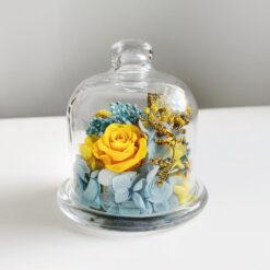 міні-флораріум Лимонниця патріотична